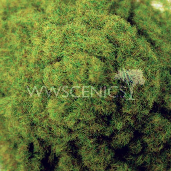 2mm Spring Grass 2 (watermark) 2mm Spring Grass 2 (watermark)
