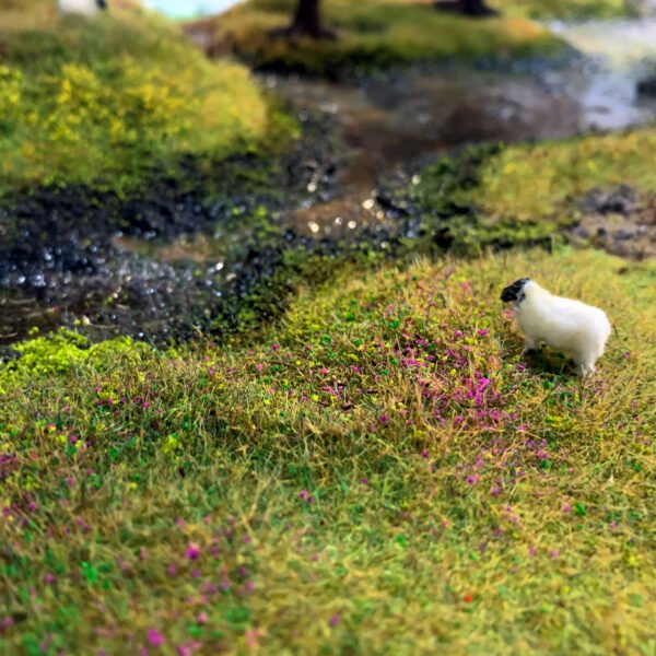 Grass 6 Grass 6