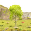 Árbol de tipo caducifolio Verde claro 2