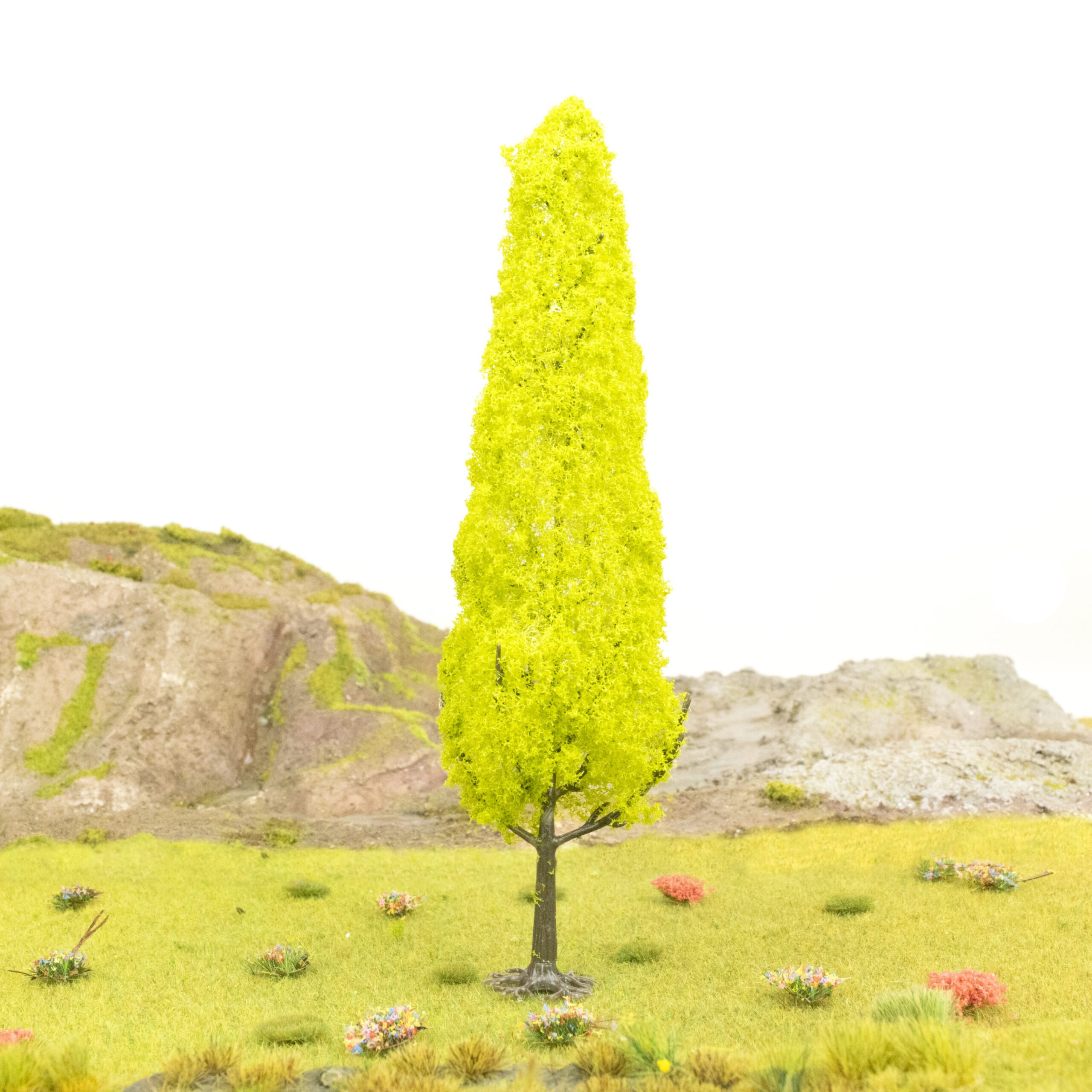 Tall Cypress Tree 2