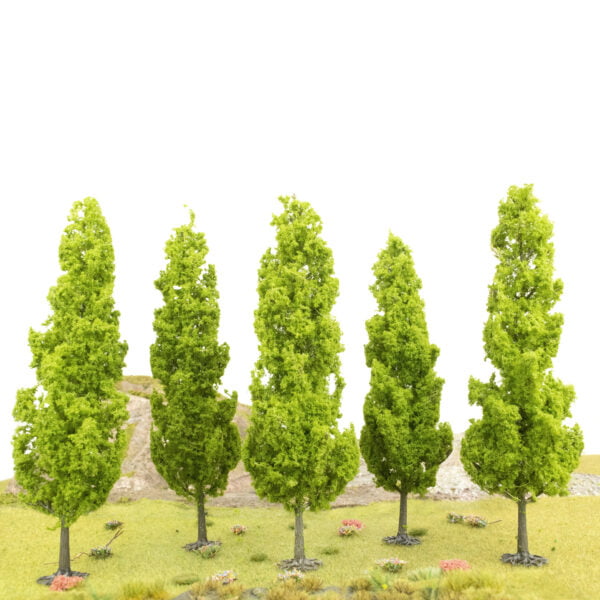 Tall Poplar Type Tree 1