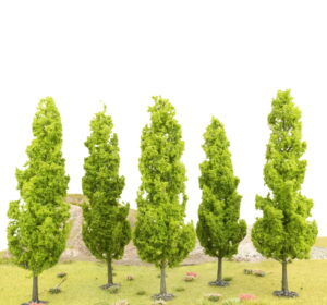 Tall Poplar Type Tree 1