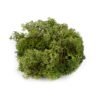 Dark Green 100g