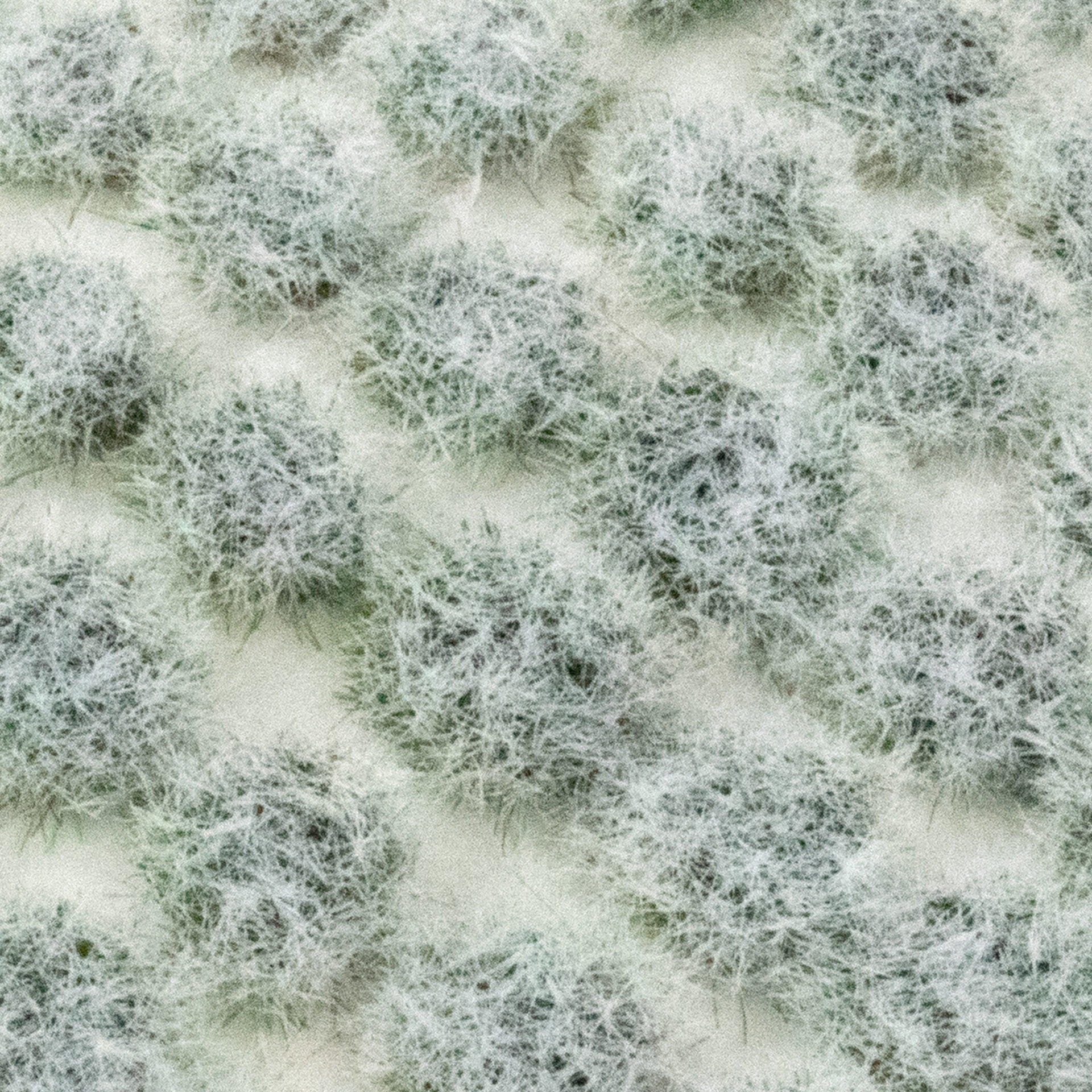 Grass Tuft Model Scenery Railway Snow Icy Winter White Flowers & Bushes Mix