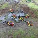 Mixed Flowers 4mm Static Grass Tufts 4