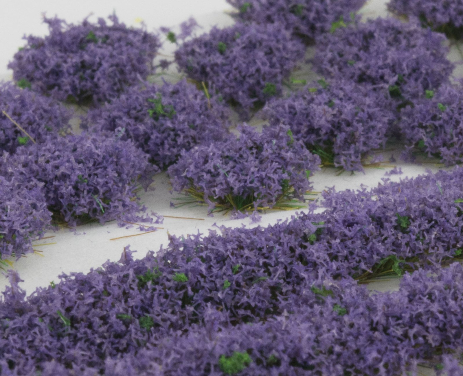 Heather4closeup