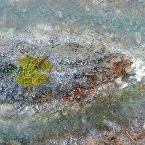 Dry Earth 500ml Tub Image 4