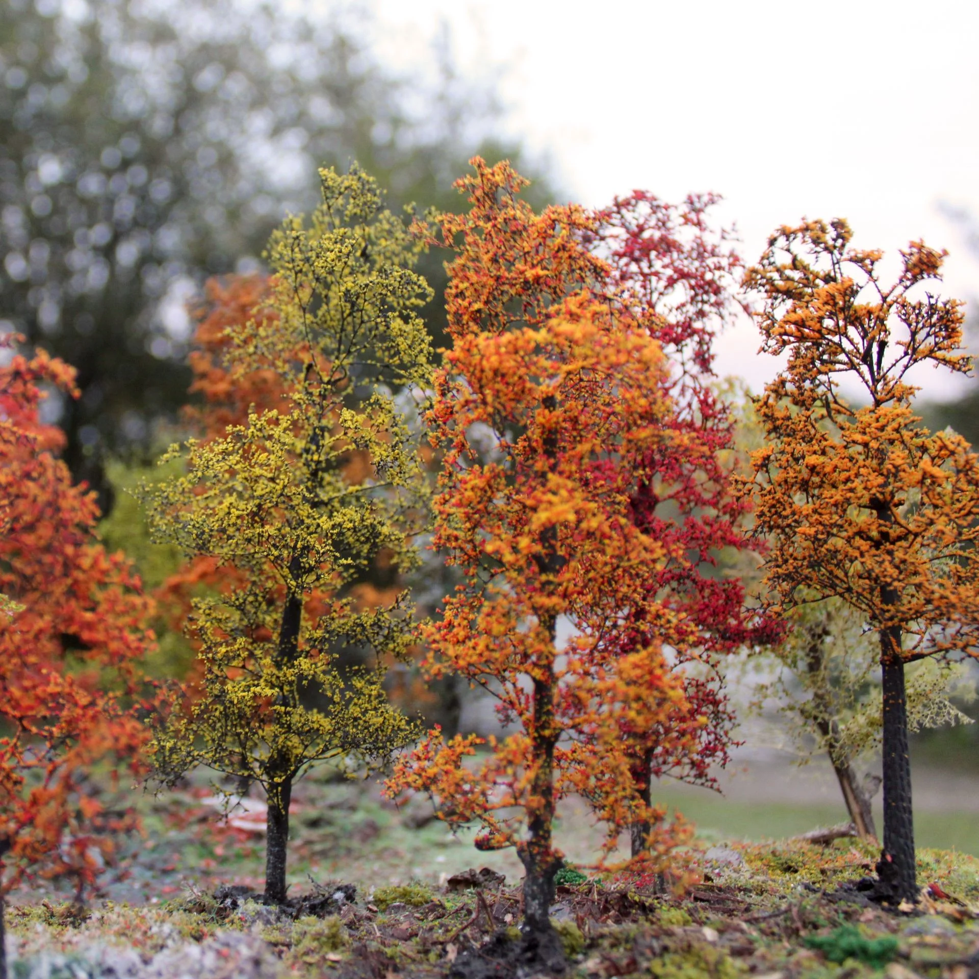 Model Tree Kits 005