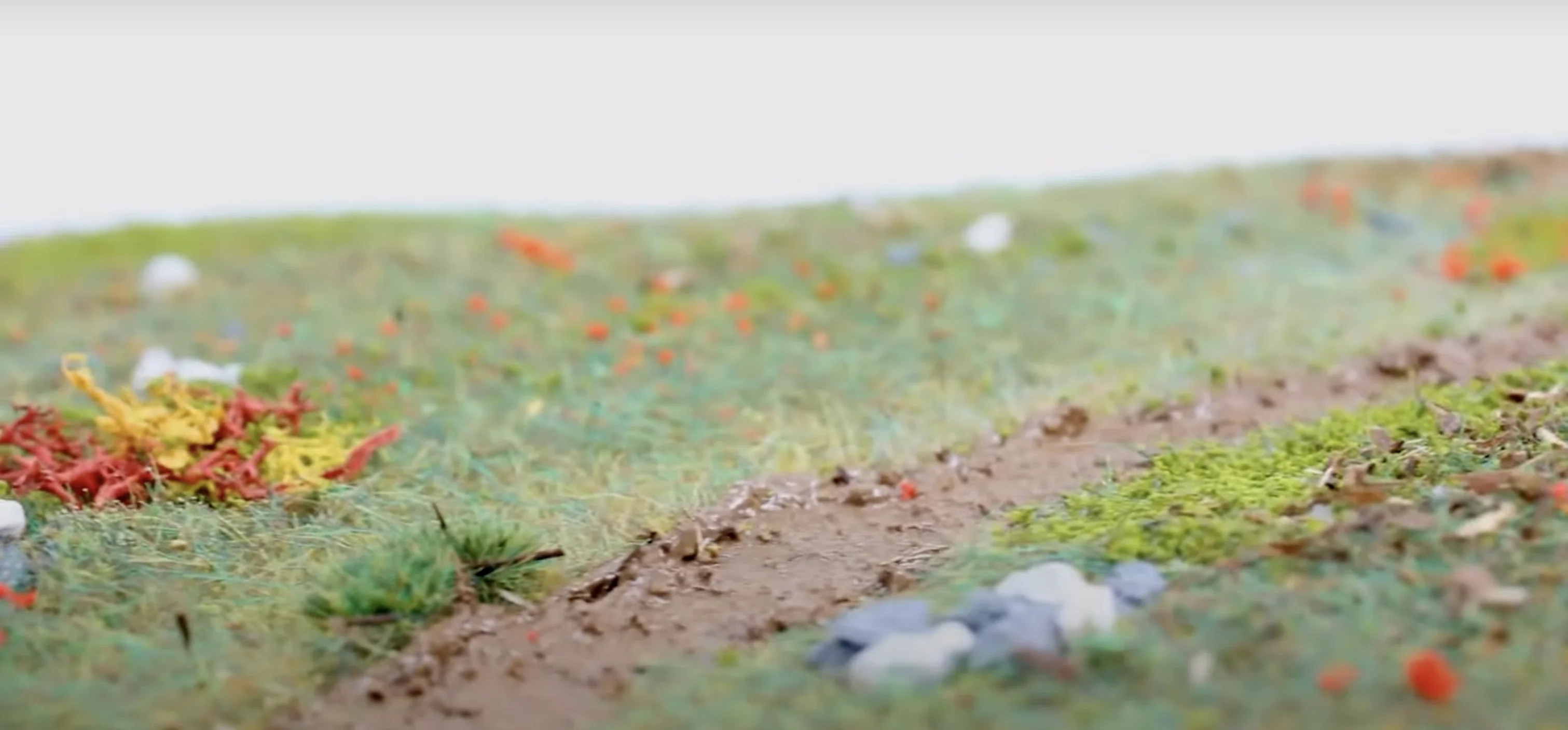 Building An Autumn Diorama