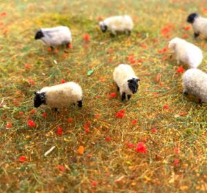 OO Gauge Sheep Flocking Kit