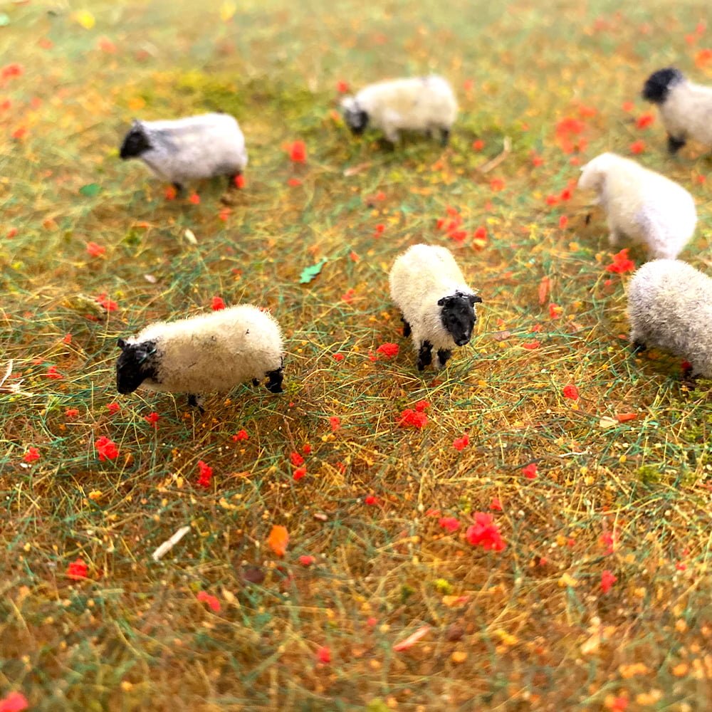 Oo Gauge Sheep Flocking Kit 13