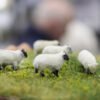 Oo Gauge Sheep Flocking Kit 14