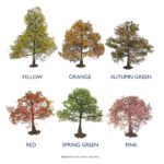 Real Tree Colours