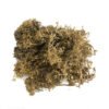 Icy Winter Basing Kit 6