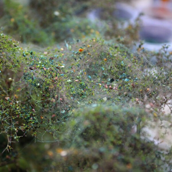 Modelling Fibre 6 Modelling Fibre 6