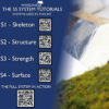 The 5s System Tutorials (3)