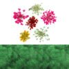 Realistic Wild Flowers 7