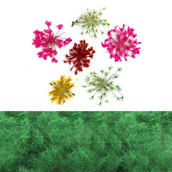 Realistic Wild Flowers 7