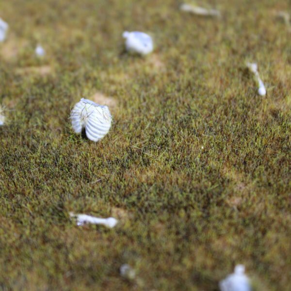 Barren Wasteland _ 7 Skull & Bone Barren Wasteland Basing Kit 2mm Grass 180ml Skull & Bones (Patchy 2mm)