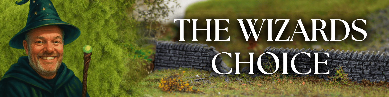 The Wizards Picks (3)