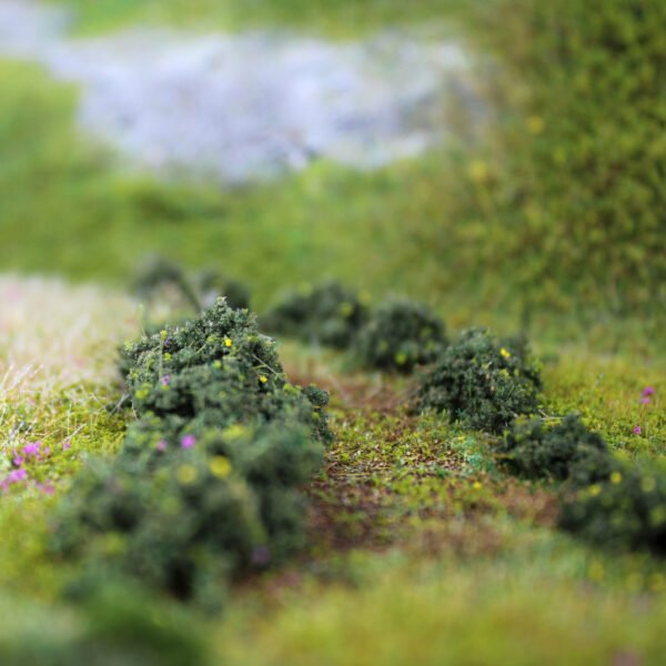 Bushes 10