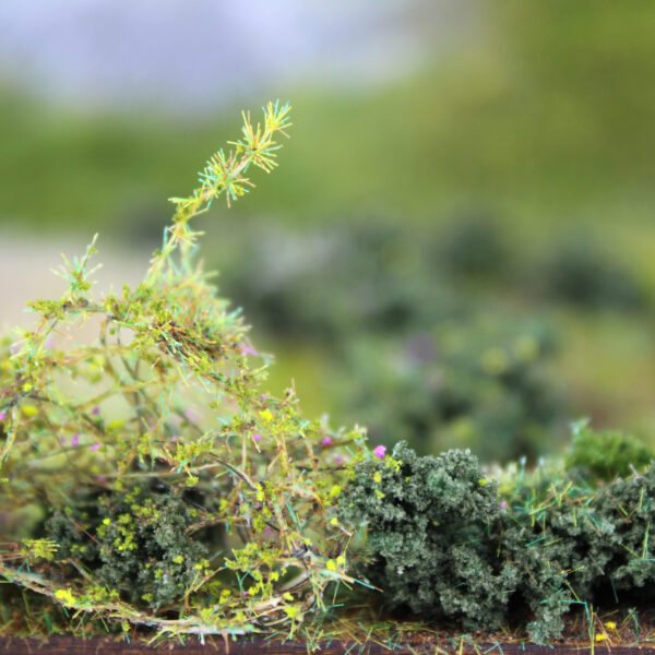 Bushes 11