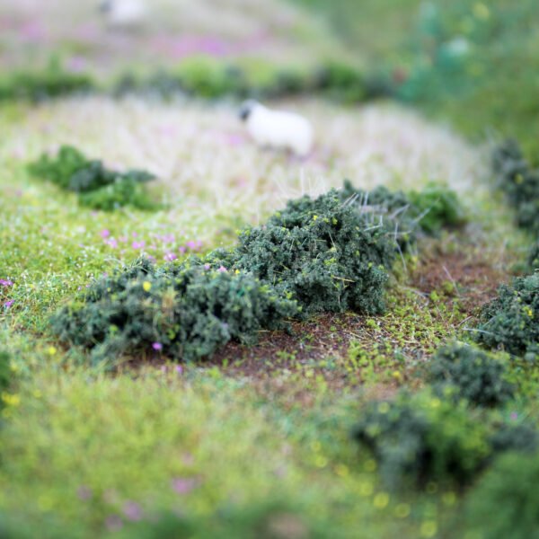 Bushes 13
