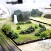 Bushes 7