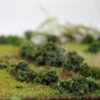 Bushes 8