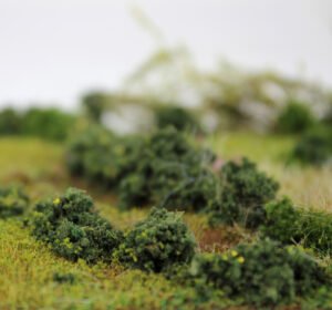Bushes 8