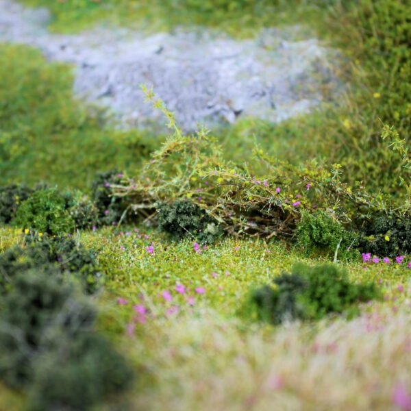 Bushes 9