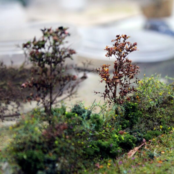Leaves 1 Leaves 1
