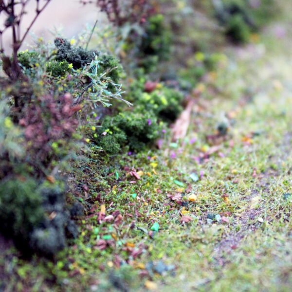Leaves 8 Leaves 8