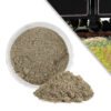 Lineside Ash 1
