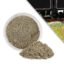 Lineside Ash 1