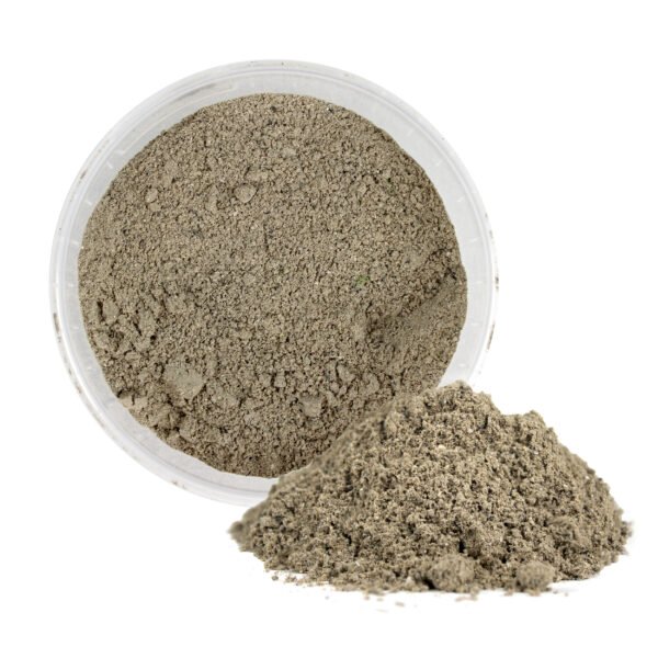Lineside Ash 2