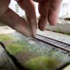 Lineside Ash 7