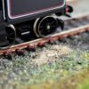 Lineside Ash 8