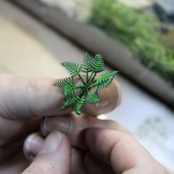 Fern Leaves 4 Fern Leaves 4