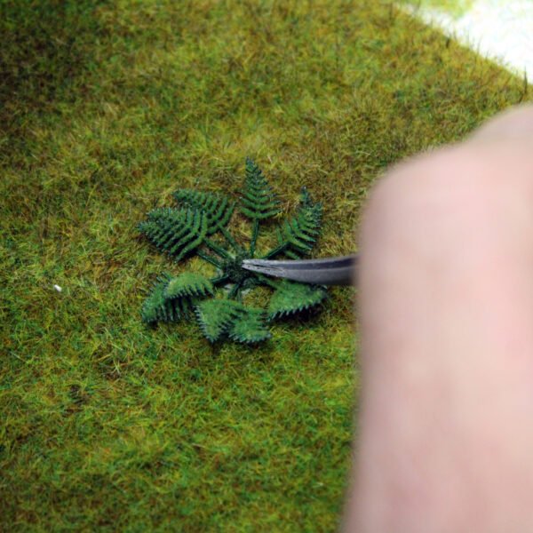 Fern Leaves 5 Fern Leaves 5