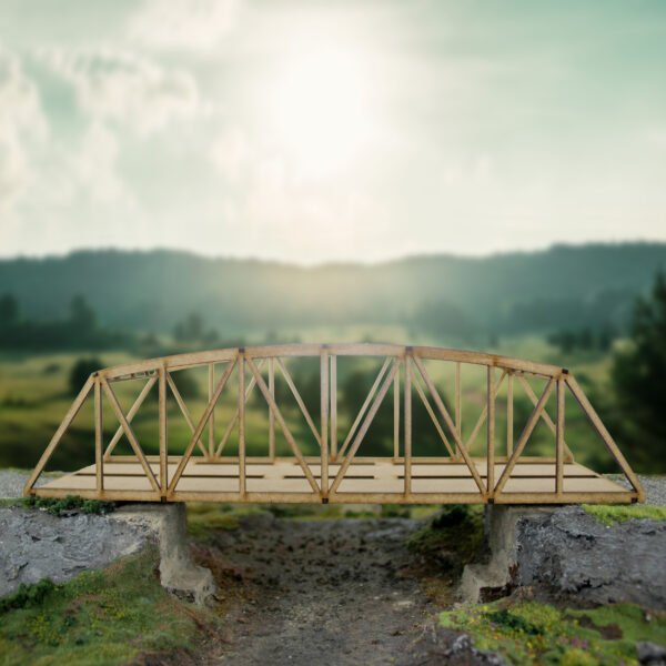 Tt120 Double Camelback Bridge 8 Tt120 Double Camelback Bridge 8
